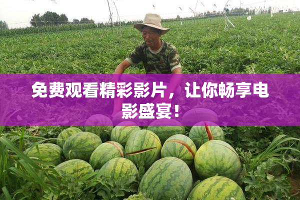 免费观看精彩影片，让你畅享电影盛宴！