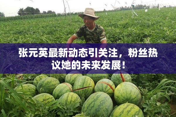 张元英最新动态引关注，粉丝热议她的未来发展！