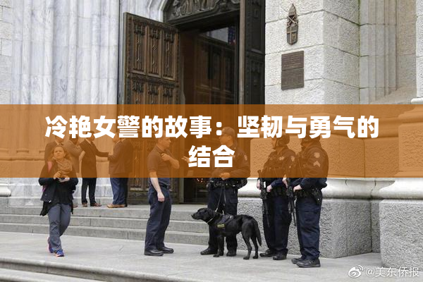 冷艳女警的故事：坚韧与勇气的结合