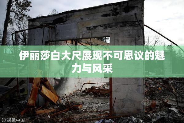 伊丽莎白大尺展现不可思议的魅力与风采