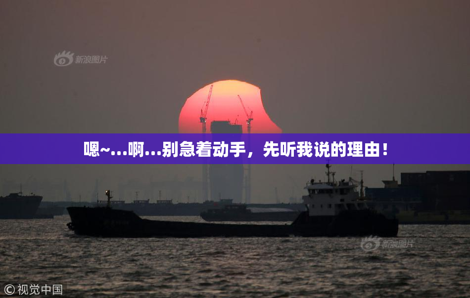 嗯~…啊…别急着动手，先听我说的理由！