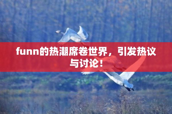 funn的热潮席卷世界，引发热议与讨论！