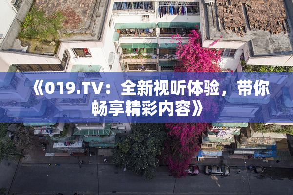 《019.TV：全新视听体验，带你畅享精彩内容》