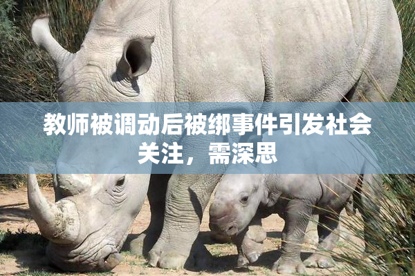 教师被调动后被绑事件引发社会关注，需深思