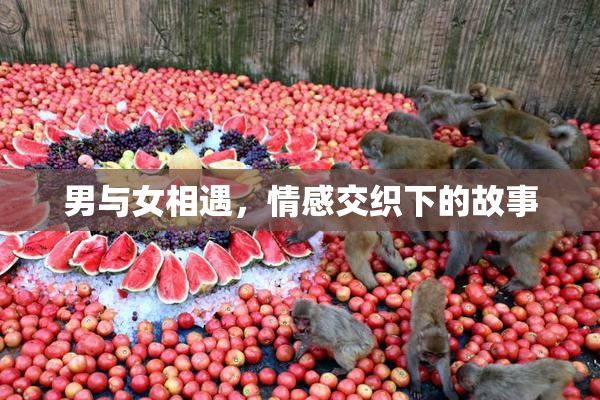 男与女相遇，情感交织下的故事