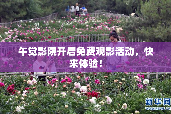 午觉影院开启免费观影活动，快来体验！