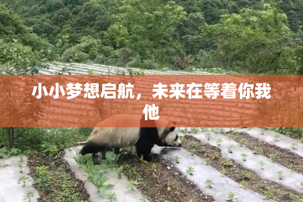 小小梦想启航，未来在等着你我他