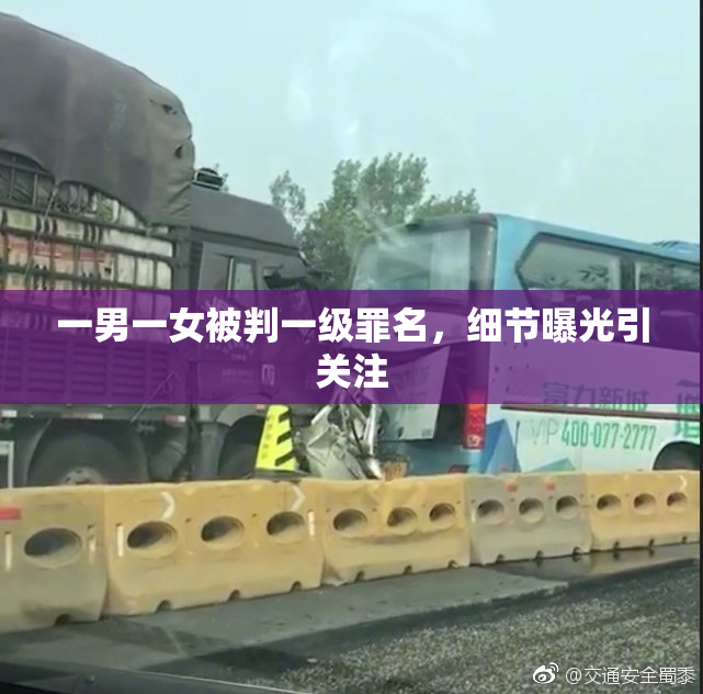 一男一女被判一级罪名，细节曝光引关注