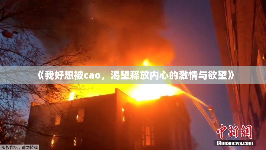 《我好想被cao，渴望释放内心的激情与欲望》
