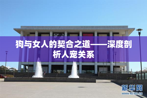 狗与女人的契合之道——深度剖析人宠关系