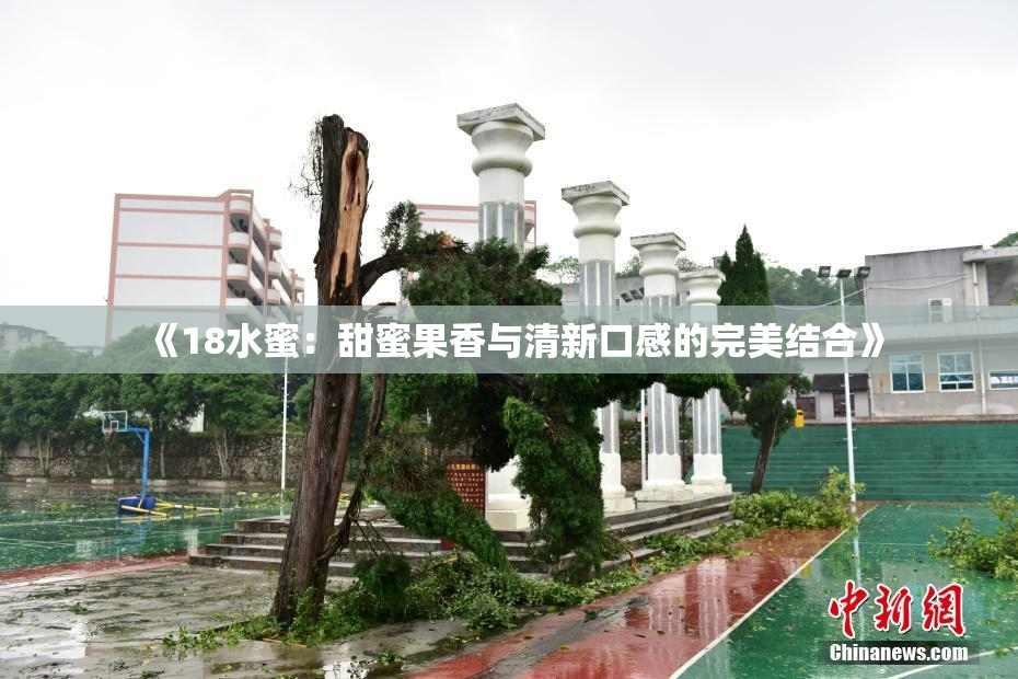 《18水蜜：甜蜜果香与清新口感的完美结合》