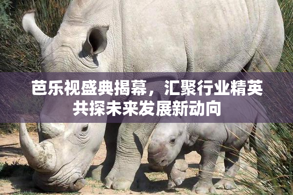 芭乐视盛典揭幕，汇聚行业精英共探未来发展新动向