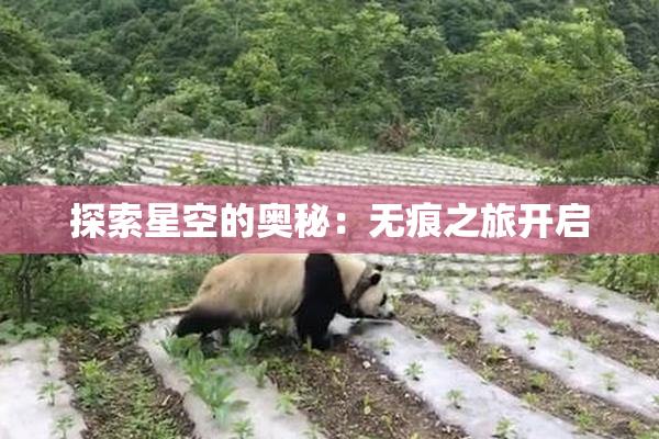 探索星空的奥秘：无痕之旅开启
