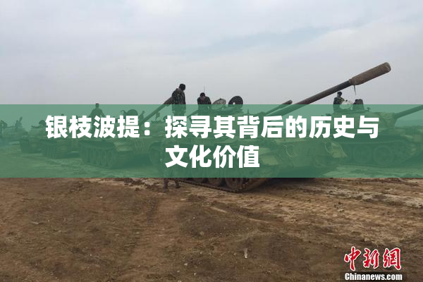 银枝波提：探寻其背后的历史与文化价值