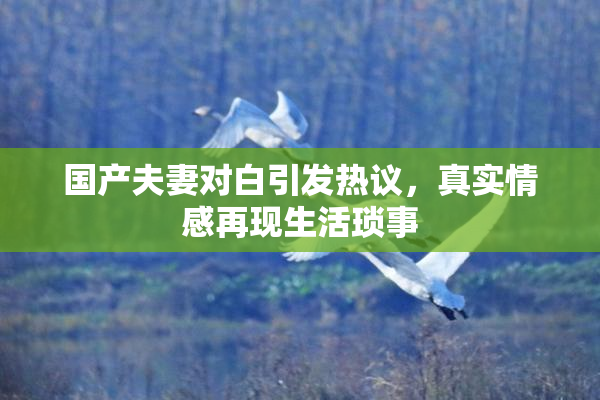 国产夫妻对白引发热议，真实情感再现生活琐事