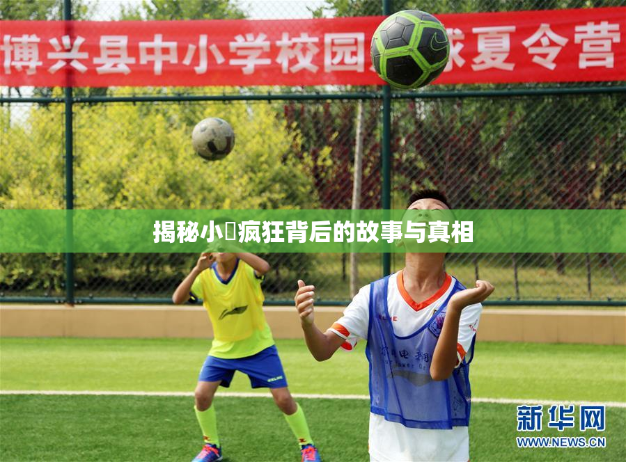 揭秘小泬疯狂背后的故事与真相