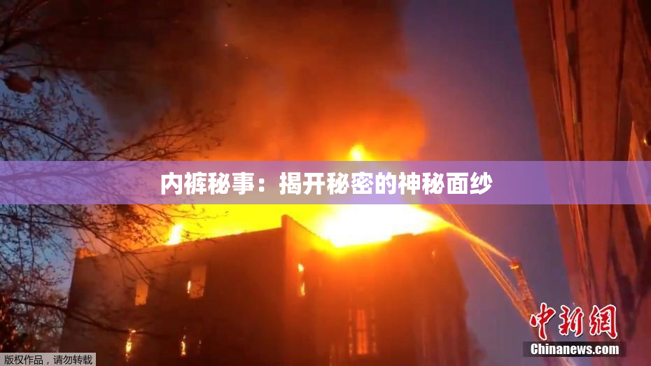 内裤秘事：揭开秘密的神秘面纱