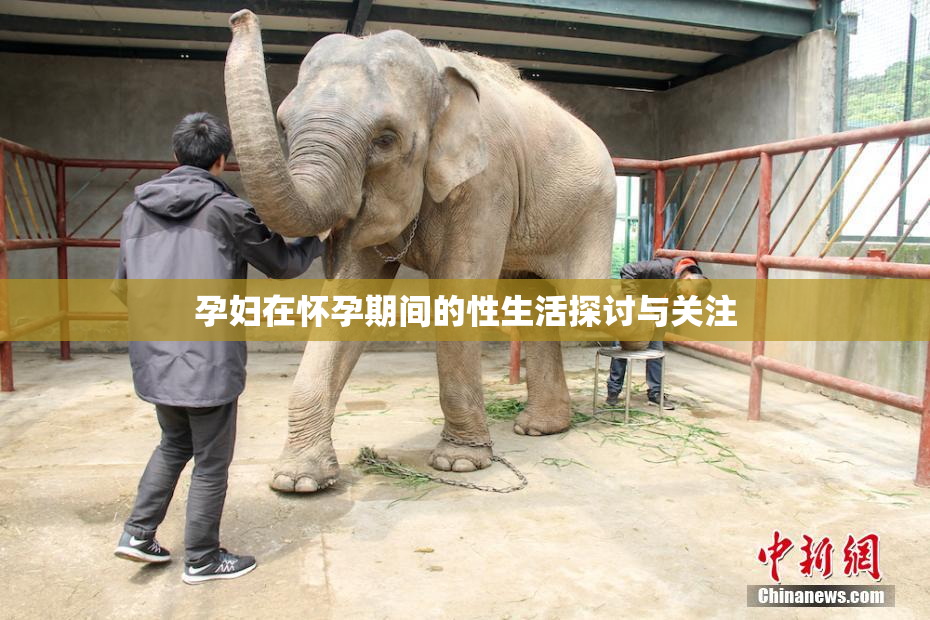 孕妇在怀孕期间的性生活探讨与关注