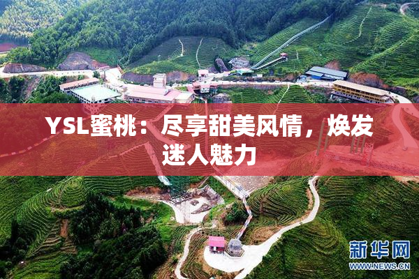 YSL蜜桃：尽享甜美风情，焕发迷人魅力