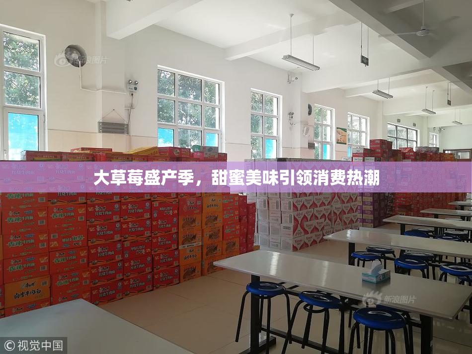 大草莓盛产季，甜蜜美味引领消费热潮