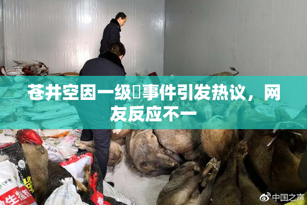 苍井空因一级婬事件引发热议，网友反应不一