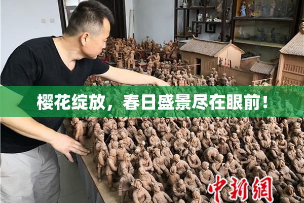 樱花绽放，春日盛景尽在眼前！