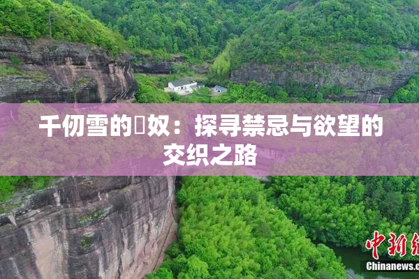 千仞雪的婬奴：探寻禁忌与欲望的交织之路