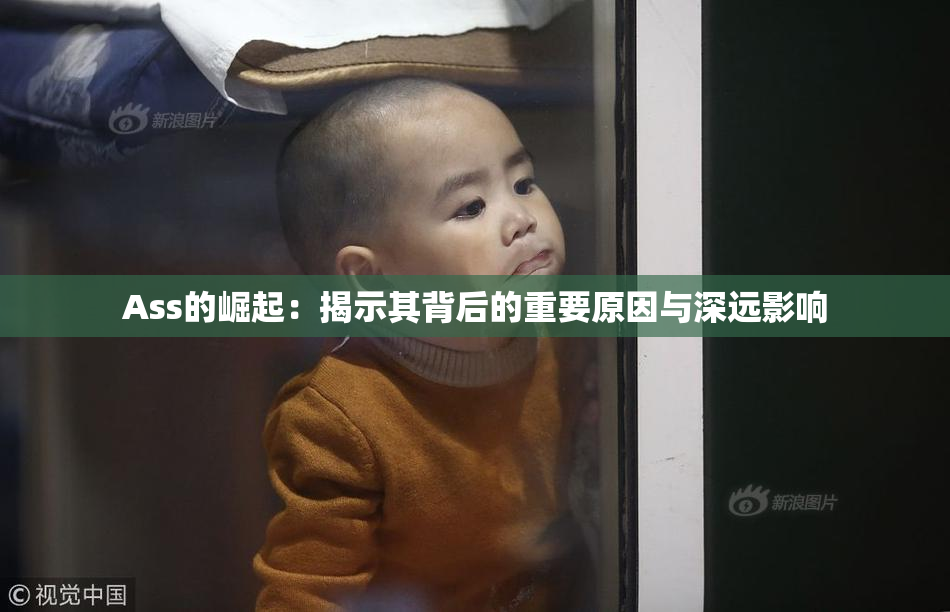 Ass的崛起：揭示其背后的重要原因与深远影响