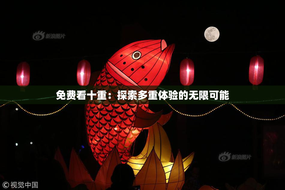免费看十重：探索多重体验的无限可能