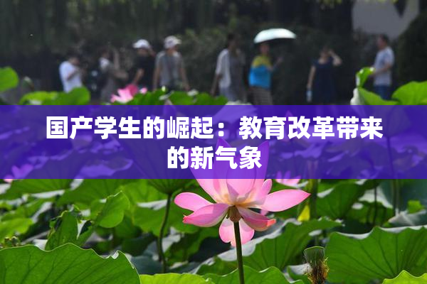 国产学生的崛起：教育改革带来的新气象