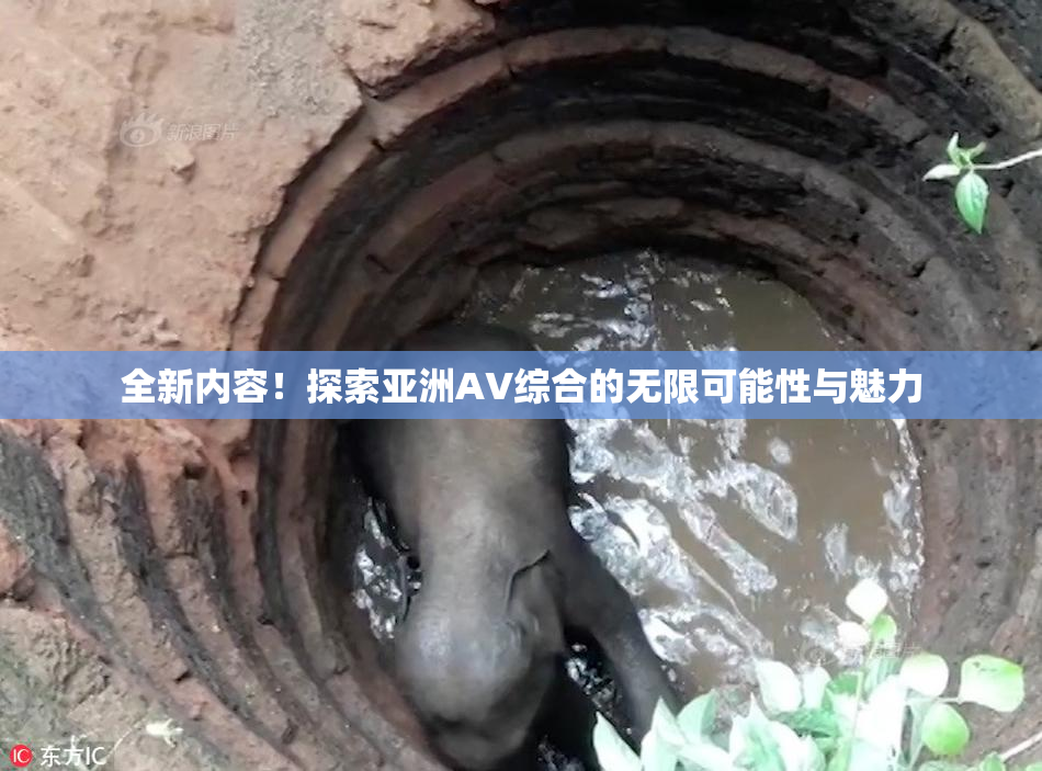 全新内容！探索亚洲AV综合的无限可能性与魅力