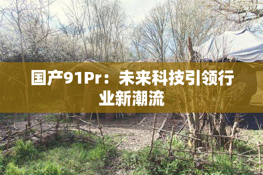 国产91Pr：未来科技引领行业新潮流