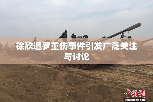徐欣遭罗重伤事件引发广泛关注与讨论