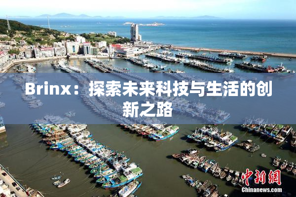 Brinx：探索未来科技与生活的创新之路