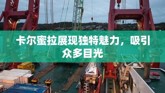 卡尔蜜拉展现独特魅力，吸引众多目光