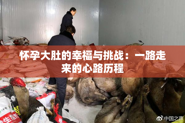 怀孕大肚的幸福与挑战：一路走来的心路历程