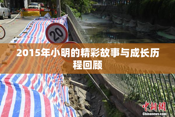 2015年小明的精彩故事与成长历程回顾
