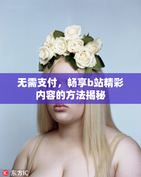 无需支付，畅享b站精彩内容的方法揭秘