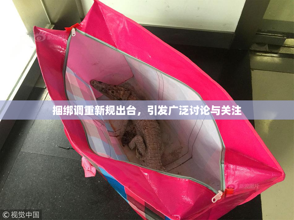 捆绑调重新规出台，引发广泛讨论与关注