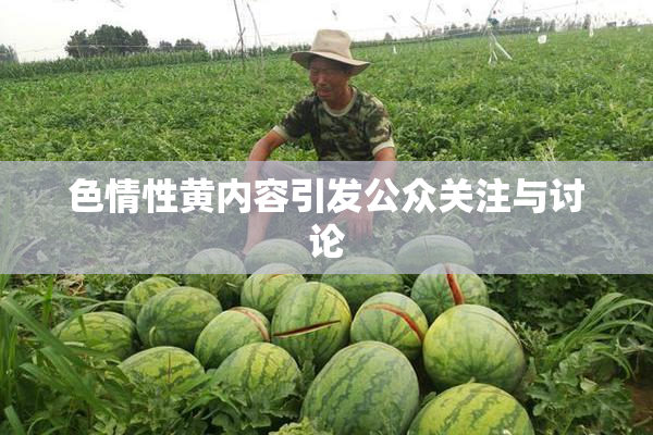 色情性黄内容引发公众关注与讨论