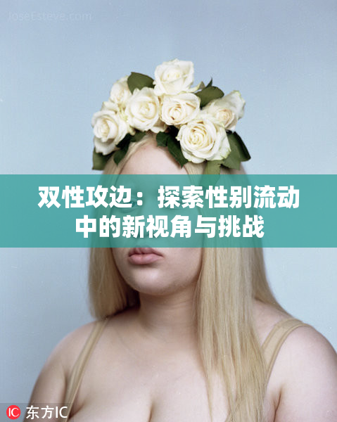 双性攻边：探索性别流动中的新视角与挑战