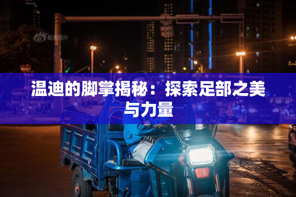 温迪的脚掌揭秘：探索足部之美与力量
