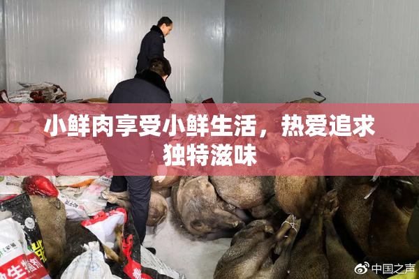 小鲜肉享受小鲜生活，热爱追求独特滋味