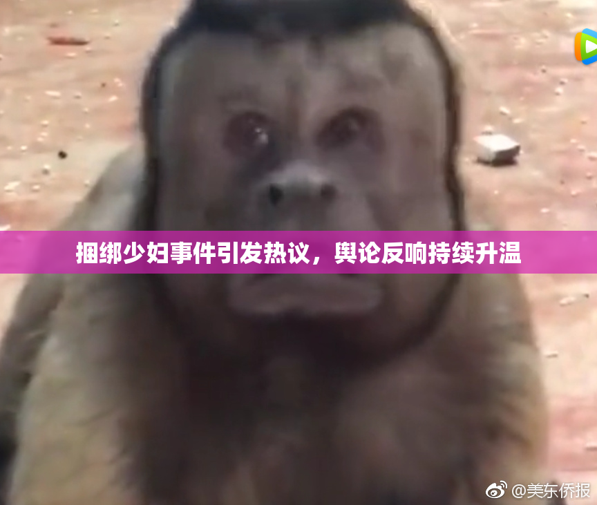 捆绑少妇事件引发热议，舆论反响持续升温
