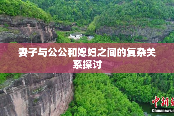 妻子与公公和媳妇之间的复杂关系探讨