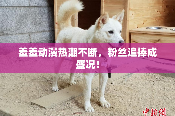 羞羞动漫热潮不断，粉丝追捧成盛况！