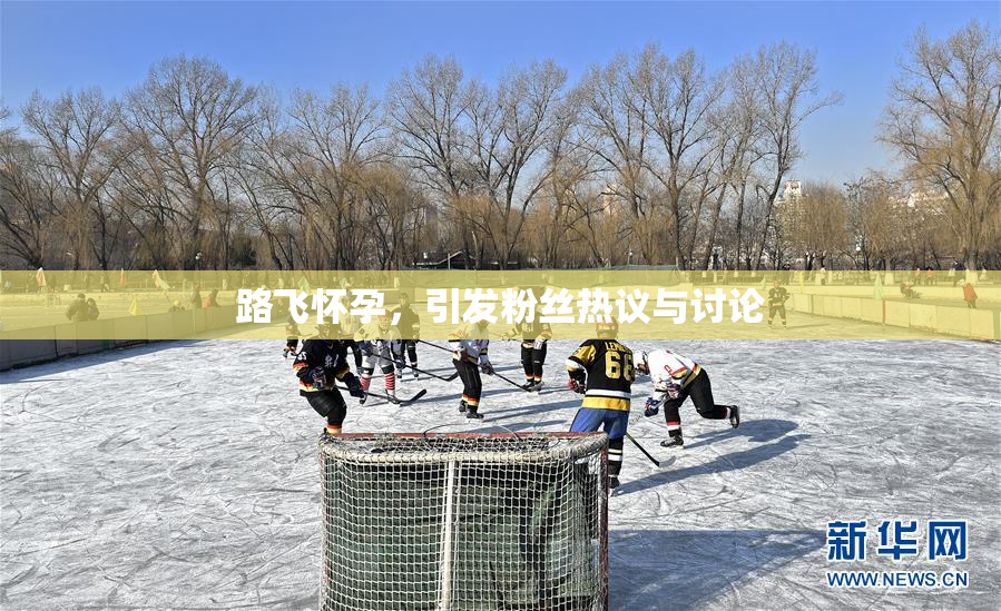 路飞怀孕，引发粉丝热议与讨论