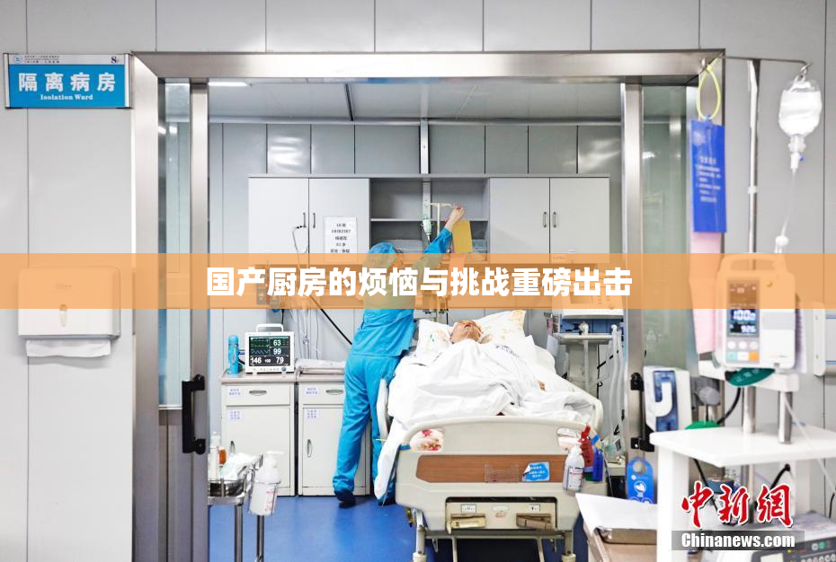 国产厨房的烦恼与挑战重磅出击