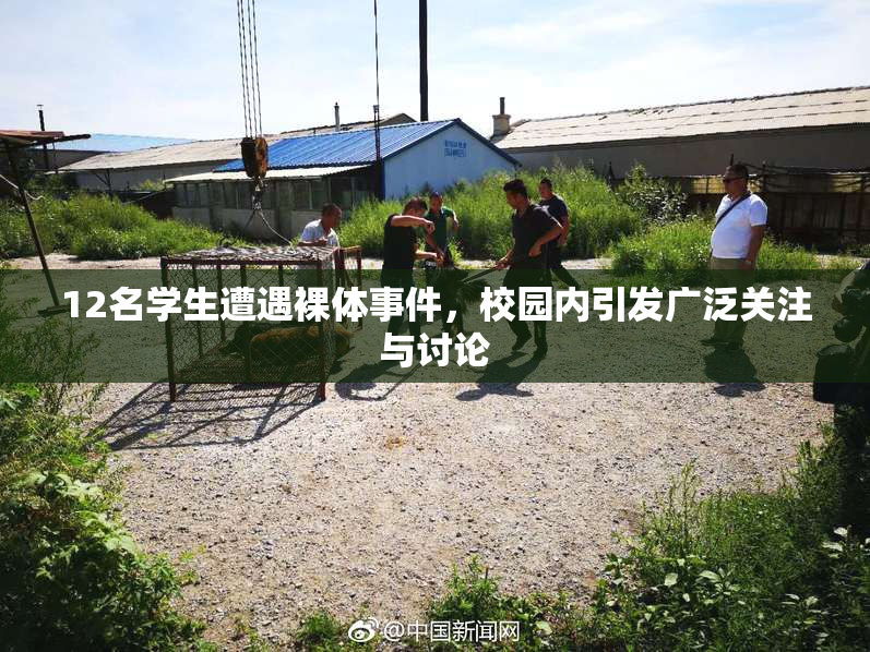 12名学生遭遇裸体事件，校园内引发广泛关注与讨论