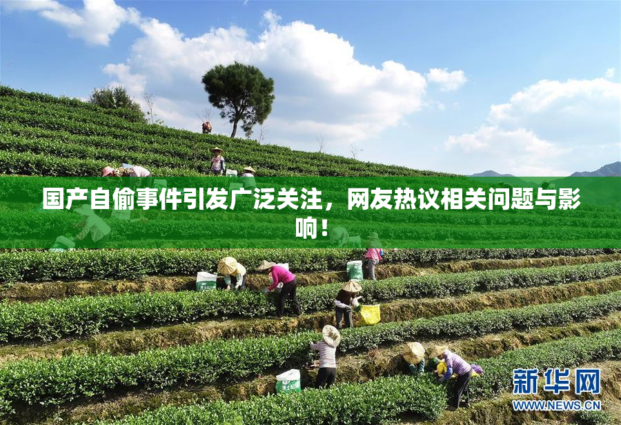 国产自偷事件引发广泛关注，网友热议相关问题与影响！